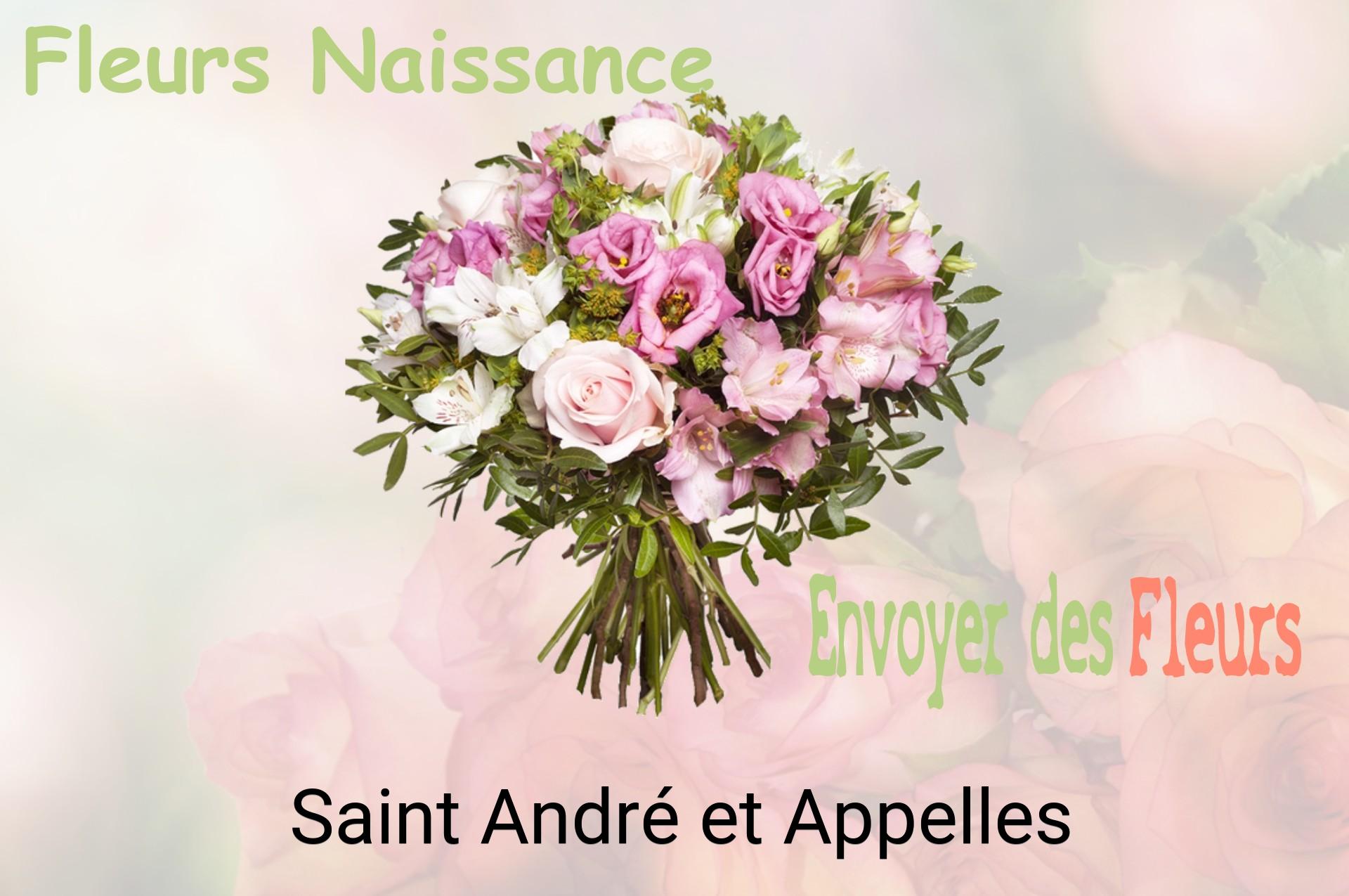 Bouquet de fleurs de naissance livré à Saint-André-et-Appelles